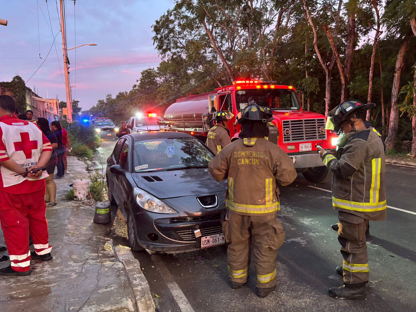 uploads/6/32/01 (2332).Jpeg